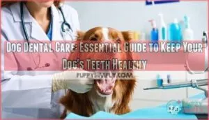 dog dental care