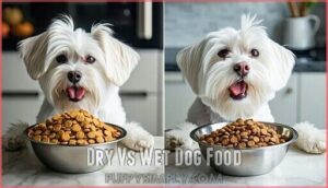 dry vs wet dog food