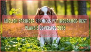 english springer spaniels pet insurance