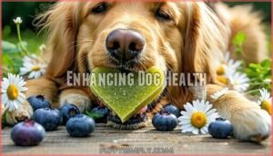 enhancing dog health
