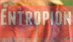 entropion