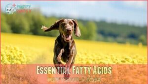 essential fatty acids
