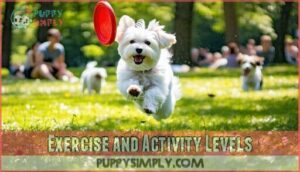 exercise and activity levels