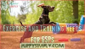exercise and training needs for gsps