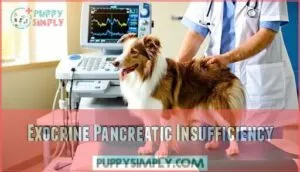 exocrine pancreatic insufficiency