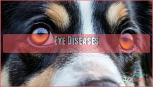 eye diseases