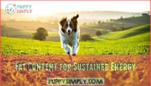 fat content for sustained energy