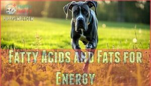 fatty acids and fats for energy