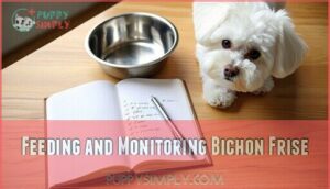 feeding and monitoring bichon frise