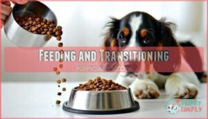 feeding and transitioning