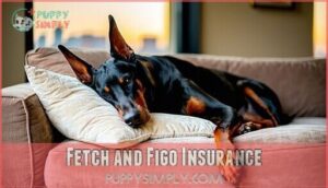 fetch and figo insurance
