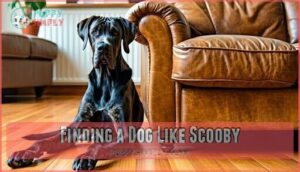 finding a dog like scooby