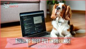 finding best pet insurance