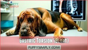 gastric torsion (bloat)