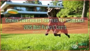 german shorthaired pointers pet insurance