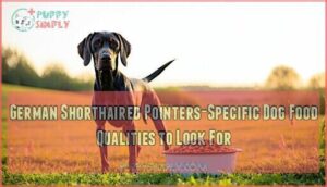 german shorthaired pointers-specific dog food qualities to look for