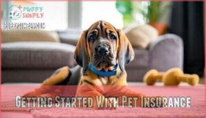 getting started with pet insurance