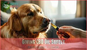 giving cbd oil safely
