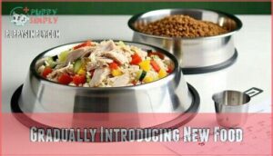 gradually introducing new food