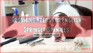 grooming needs for english springer spaniels