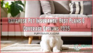 havanese pet insurance