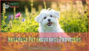 havanese pet insurance providers