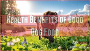 health benefits of good dog food