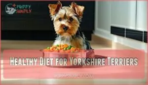 healthy diet for yorkshire terriers