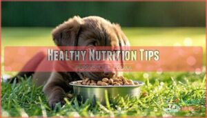 healthy nutrition tips