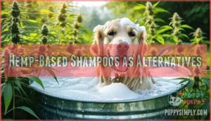 hemp-based shampoos as alternatives