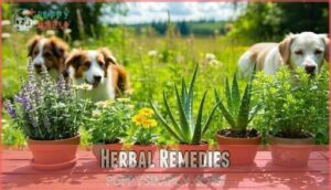 herbal remedies