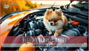 high metabolic rates