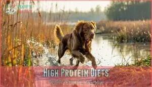 high protein diets