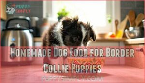 homemade dog food for border collie puppies