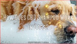 how does cbd shampoo work in dogs