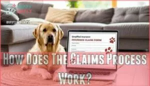 how does the claims process work