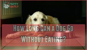 how long can a dog go without eating