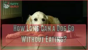 how long can a dog go without eating