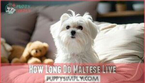 how long do maltese live