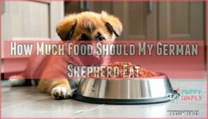 how much food should my german shepherd eat