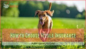 how to choose vizsla insurance