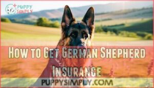 how to get german shepherd insurance
