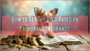 how to get the best rates on chihuahua insurance