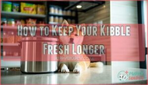 how to keep your kibble fresh longer