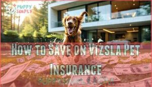 how to save on vizsla pet insurance
