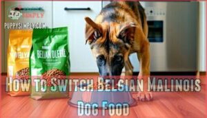 how to switch belgian malinois dog food