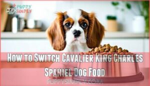 how to switch cavalier king charles spaniel dog food