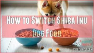 how to switch shiba inu dog food