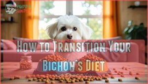 how to transition your bichon’s diet