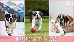impact of activity level